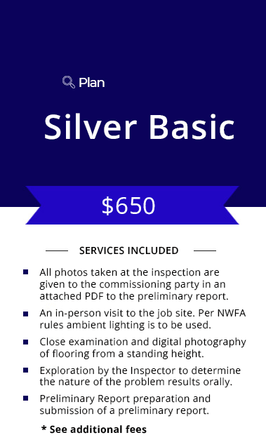 Silver Basic plan